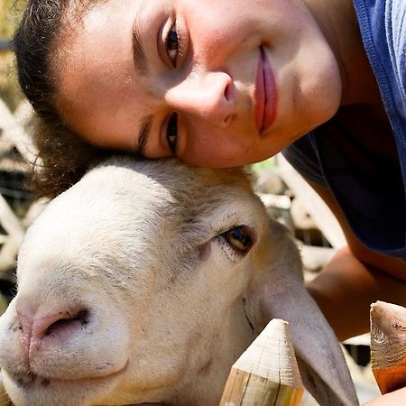 Borgo La Dogana Otel Tuoro sul Trasimeno Dış mekan fotoğraf