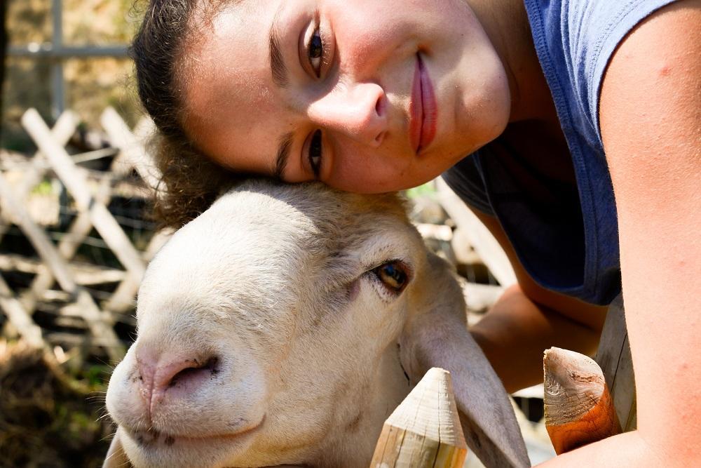 Borgo La Dogana Otel Tuoro sul Trasimeno Dış mekan fotoğraf